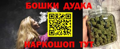 a pvp Обь