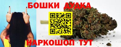 a pvp Обь